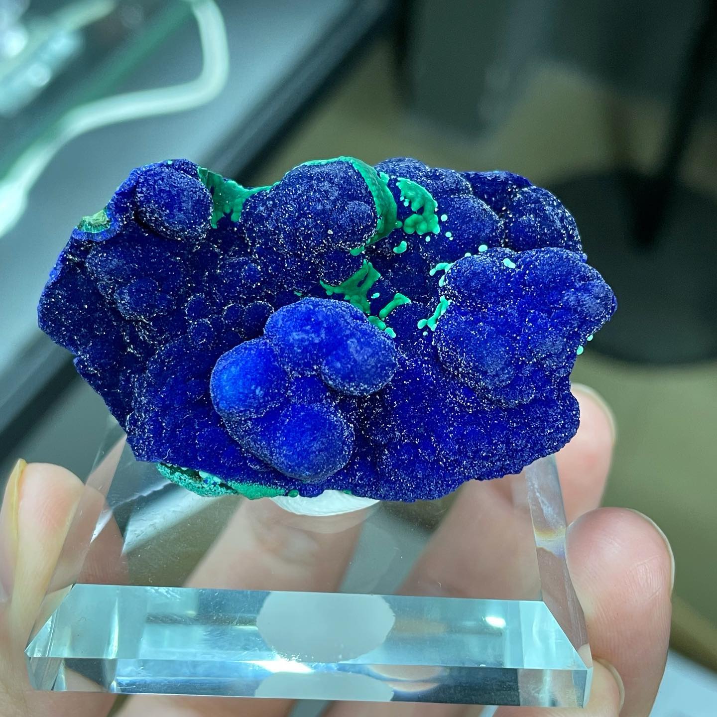 Azurite Crystal Flowers - Geology In