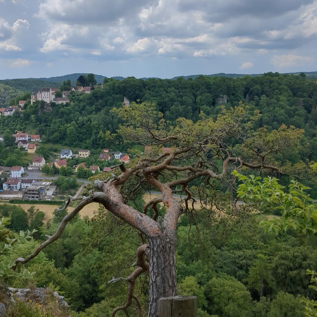 WanderKnirps (@wanderknirps) on Twitter photo 