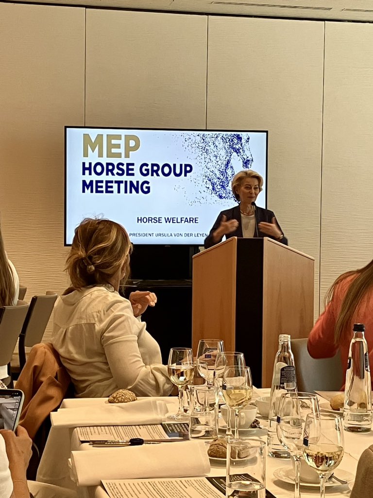 Marianne Orlianges tweet media