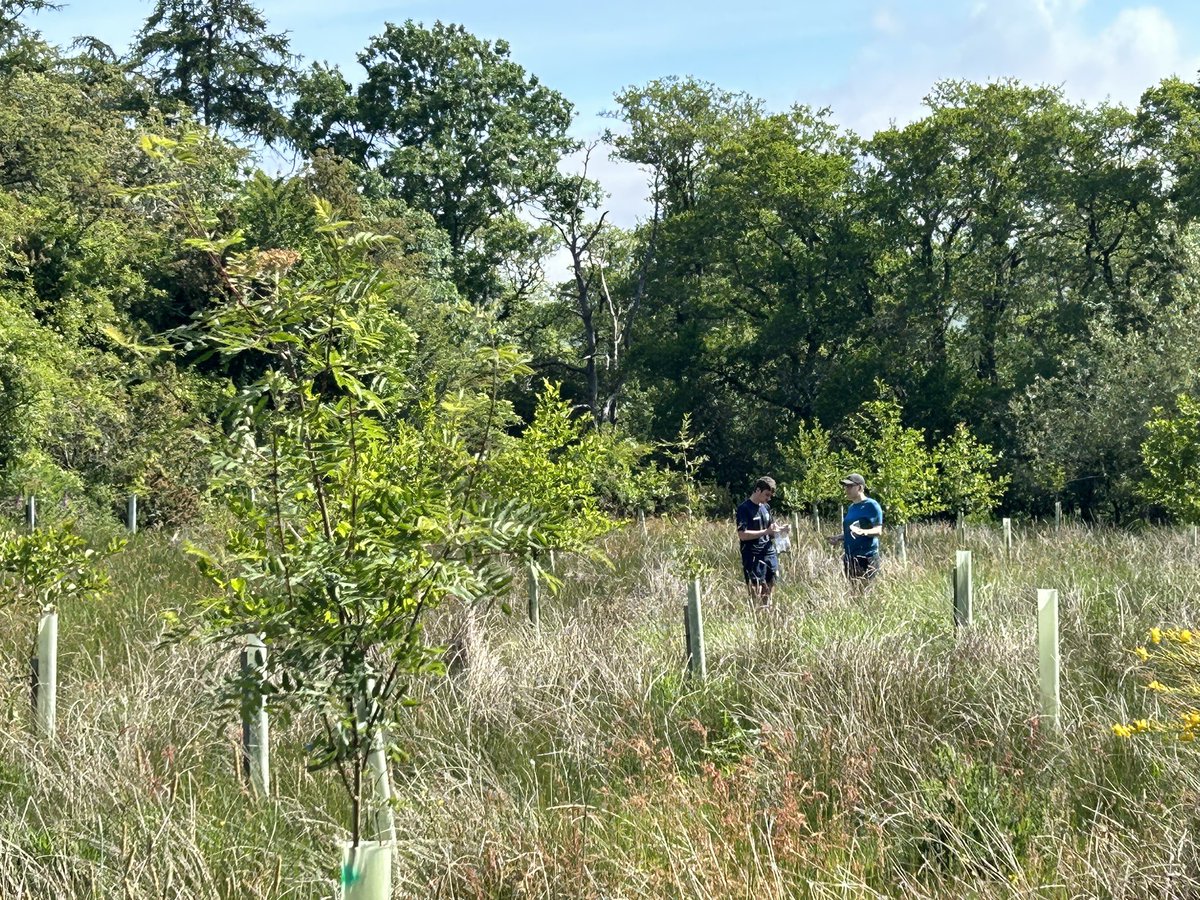 ProfPHaygarth's tweet photo. A great day to be out in the field with dissertation students and @CarriProject @H2oHutton https://t.co/JsbY2v1cGa