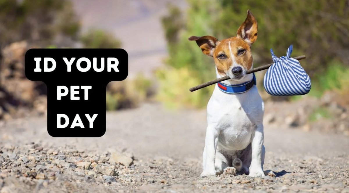 ID your pet day! Did you know that more pets get lost on July 4 than on any other day of the year? Plan ahead!
#idpet #petid #petidtag #petmicrochip #pettag