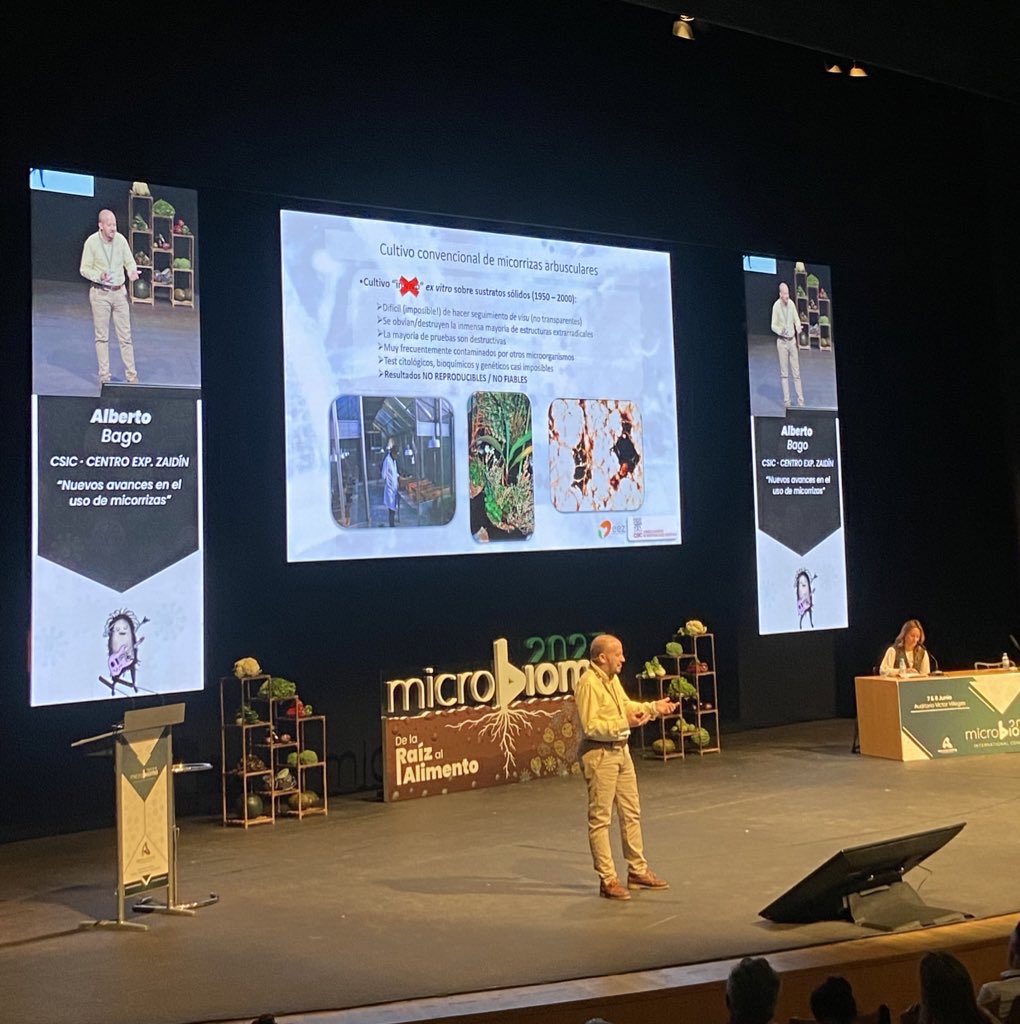 👉 Alberto Bago de <a href="/CSIC/">CSIC</a> presenta nuevos avances en el uso de micorrizas. 

#microbioma2023 🦠
