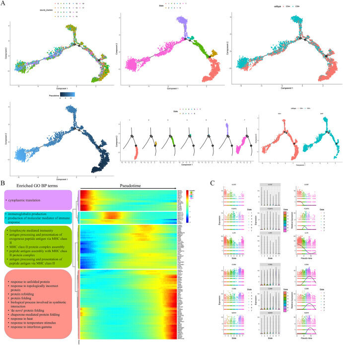 Researchers investigate the transcriptomic landscape of triple-negative breast cancer and the relationship between T cells and clinical prognosis. bit.ly/3oLIPaY OPTN, TMEM176A, PKM and HES1 deserve attention as prognostic markers in this cancer. #singlecell #scRNAseq