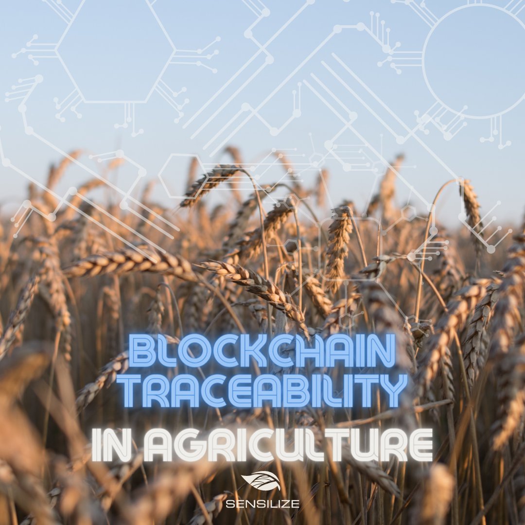sensilize's tweet image. Blockchain technology has the potential to revolutionize traceability in agriculture.

Visit our LinkedIn page to read more: bit.ly/43twFCG

#blockchain #digitalfarming #smartfarming