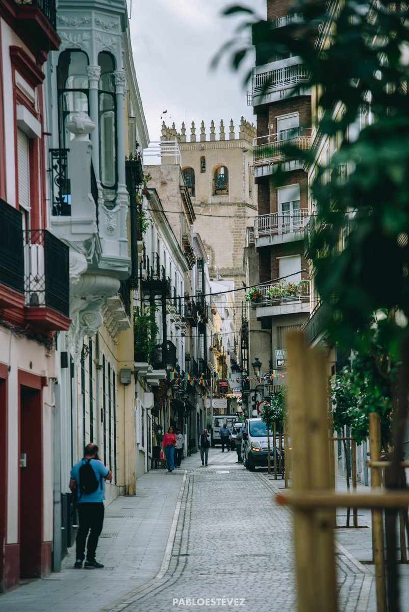 Ya no recordaba lo que era coger mi cámara.