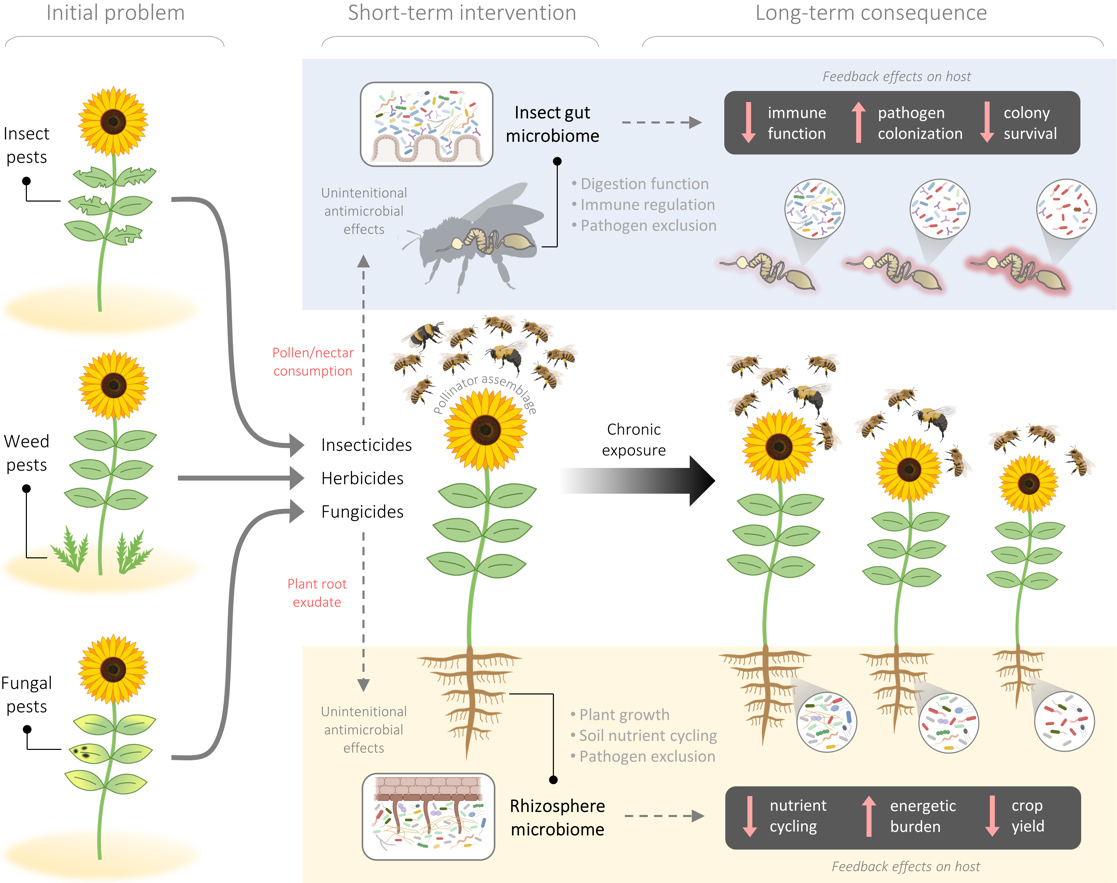 😍Our 2022 Best Review Article: Deteriorating #microbiomes in #agriculture - the unintended effects of #pesticides on #microbial life View: oaepublish.com/mrr/article/vi…… 📷Keywords: #Microbiome, #hostmicrobeinteractions, #agriculture, #pesticides, #microbialevolution  
Come to read!