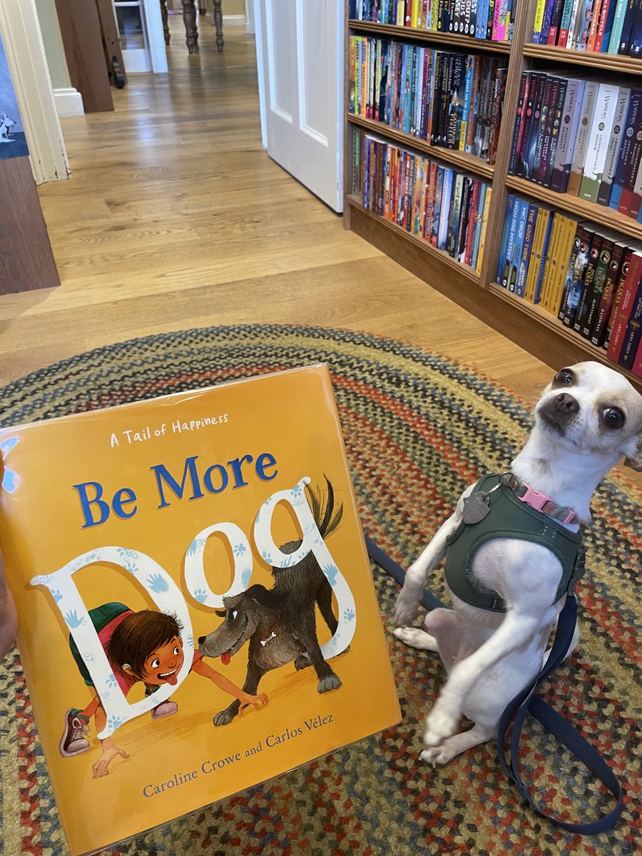 FlorisBooks's tweet photo. We're so excited to see @ToppingsEdin dog, Matilda, enjoying her copy of Be More Dog by @crowehoho. Our tails are wagging here at Floris. Thanks so much for sharing, Maggie😊. #bookshopdog #bookshopdogs https://t.co/26mOi3Pdwf