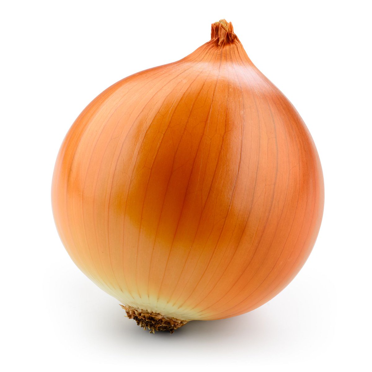 50Plushealths's tweet photo. #Todaynews #Health Post 01, #Healthyfood #Onions Inhibit #MotorIncoordination and #MemoryDeficits Induced by #Oxidativestress, According to Studies https://t.co/KChmJXwcWc https://t.co/cScleMJXup