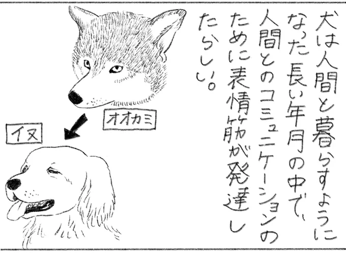 みっちゃん絵日記(1/2) 