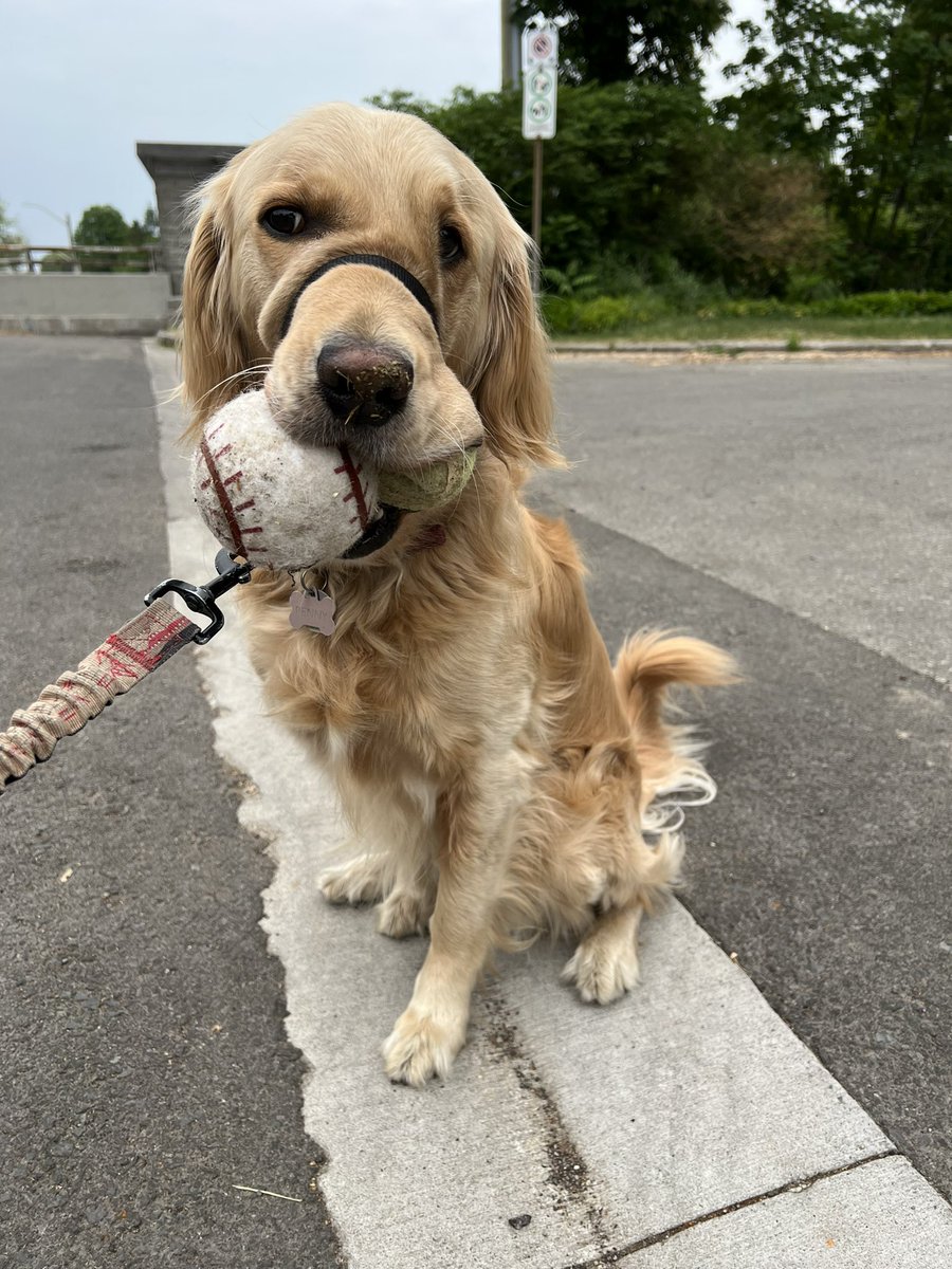 Emily Christoffersen tweet media