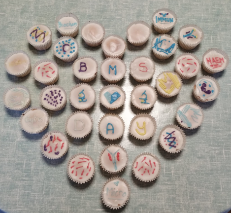 VictoriaMoyse's tweet photo. Some Microbiology themed cupcakes from Sarah Bone at HCA Labs for #BiomedicalScienceDay2023 #AtTheHeartOfHealthcare @IBMScience https://t.co/W9IHKnn1TZ