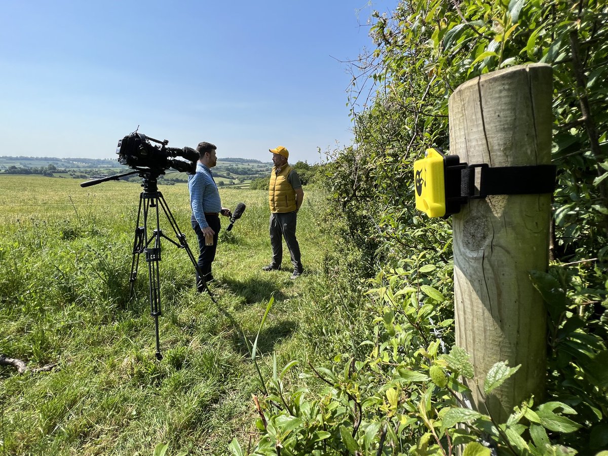 Anth0ny_Ward's tweet photo. Filming in Godminster about a system that measures biodiversity via birdsong, called Chirrup. Points West tonight. https://t.co/VwAwV1rVOx