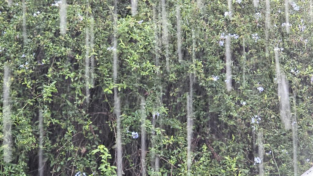 Llueve torrencialmente en PdelE