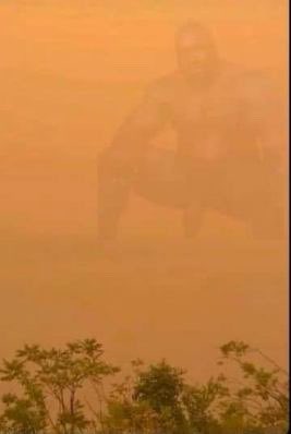BabaBooooey's tweet photo. #smoke https://t.co/na5ulbs2dl