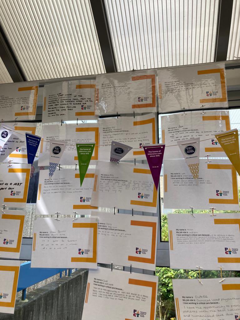 Our Critical Care Units at SaTH celebrating #ICUweek2023 🥳 I am so lucky to work which such incredible teams ⭐️