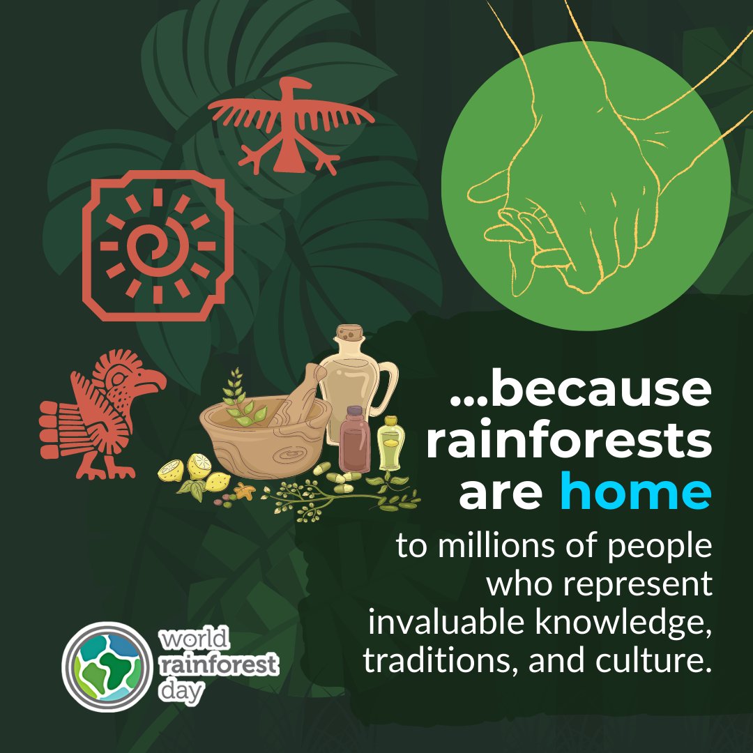 LEAF is a proud partner of @W_RainforestDay!🌍We #LoveTheForest for everything it provides. Through outdoor education we can give children a desire to protect our forests! Check out our LEAF teaching materials: leaf.global/our-resources🌿💚#WorldRainforestDay #GenerationRestoration