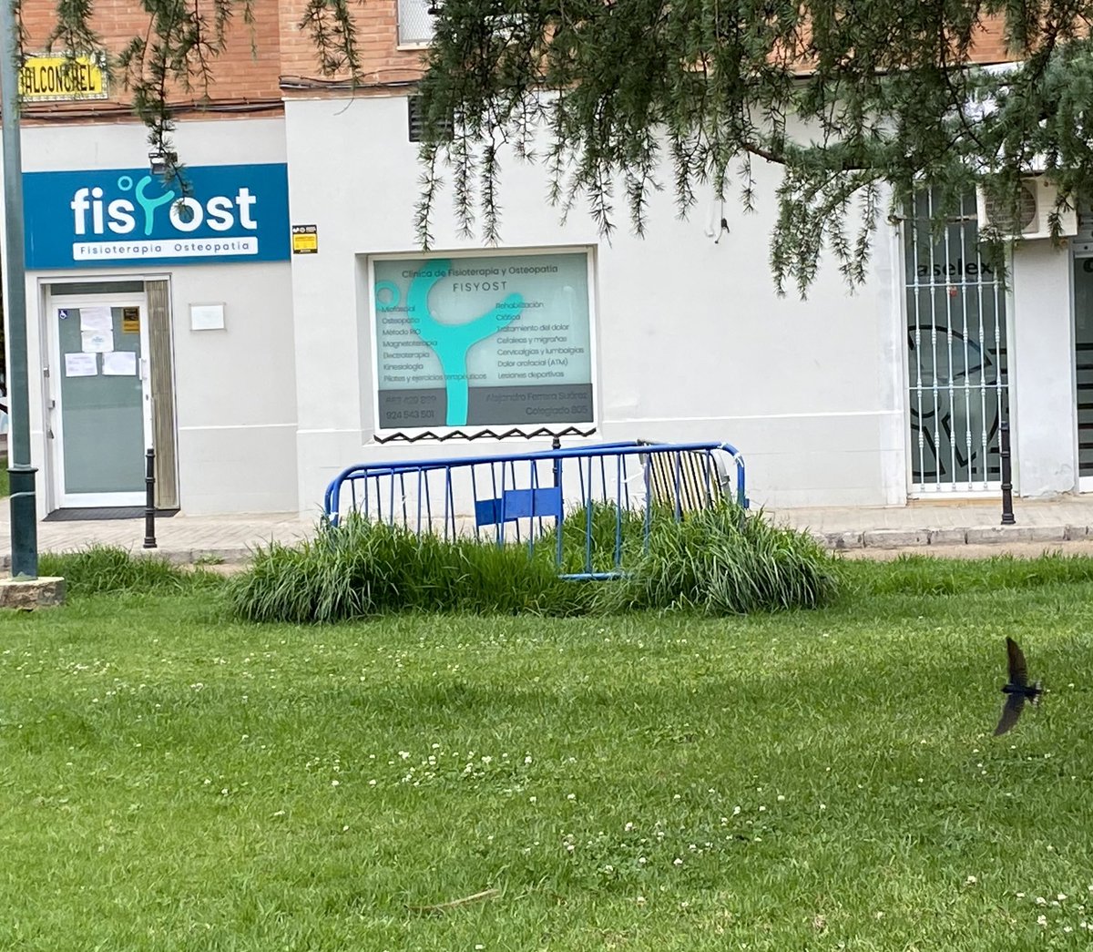 Ya pronto celebramos el aniversario de estas 3 vallas en el parque de la calle Alconchel. Junto a tráfico. 
1 año para tapar un agujero en un parque que tiene niños pequeños a su alrededor todas las tardes. 
Tanto cuesta? <a href="/soloenbadajoz/">Solo en Badajoz</a> <a href="/BarreraGragera/">Ignacio Gragera 🇪🇦</a> <a href="/CiudadBadajoz/">Badajoz_Ciudad</a>