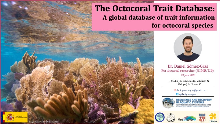During this year I have been putting together a global trait database for octocorals that will complement the coraltrait.org database made for scleractinians in 2016.  Come tomorrow to session #SS115B at #ASLO2023 to hear more about it!👇(8 June; Sala Menorca A: 6:15 pm)