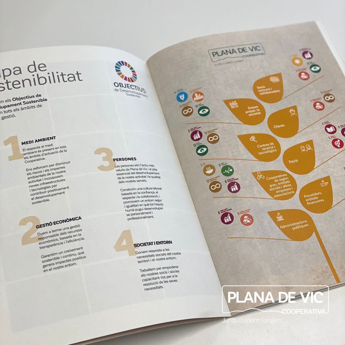 coplanadevic's tweet photo. Estem orgullosos de presentar el nostre Informe de Sostenibilitat 2022! A la Cooperativa ens esforcem per promoure una agricultura i ramaderia sostenibles, protegir el medi ambient i donar suport als nostres agricultors i ramaders💚

🔗La pots veure aquí👉https://t.co/hVDnn5gRDm https://t.co/elTOZsVLM0