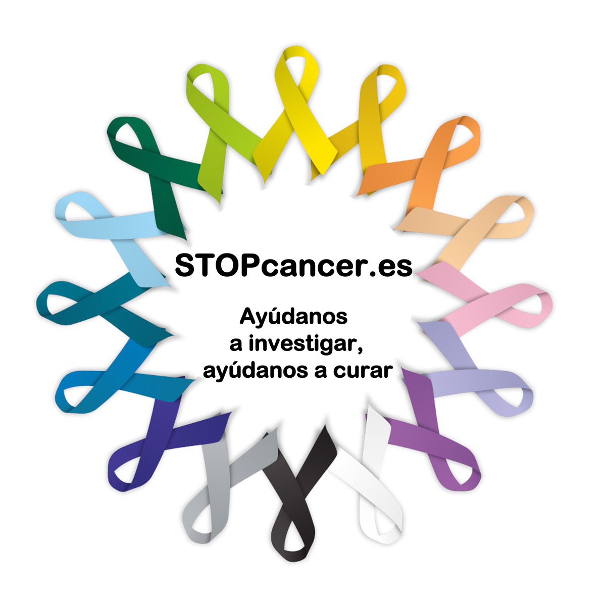 GalanLab's tweet photo. 📢 Hoy es el #WorldBrainTumorDay
En España se diagnostican anualmente 4000 casos de tumores primarios cerebrales

📍Con nuestra iniciativa #STOPCancer, buscamos nuevas combinaciones terapéuticas para tratar los tumores cerebrales más agresivos

+info 👇🏼

https://t.co/e3Jpqwv76w https://t.co/thx4f9PZx5