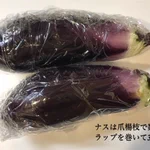 ナスが好きな人必見!大葉などとの組み合わせがとっても美味しそうな「ナス」レシピ!