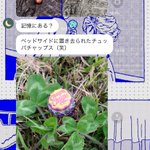 実家の部屋にあったチュッパチャプス!一緒に散歩に行ったと報告して来るお母さん!