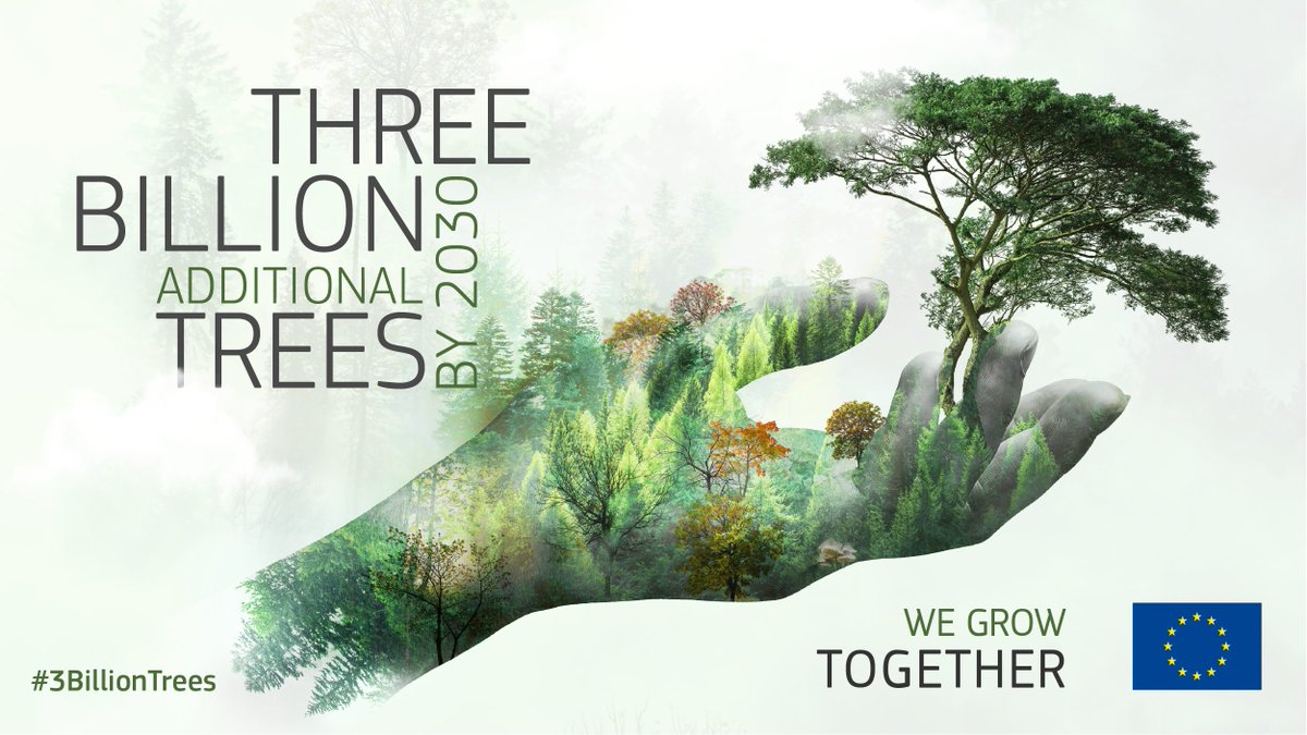 Sin 🌲 no hay oxígeno
Sin 🌲 no hay agua limpia
Sin 🌲 no hay vida

Objetivo ➡️ Sembrar 3.000 millones de árboles de aquí a 2030

¡Apúntate a la iniciativa #3BillionTrees! #EUGreenDeal 

Descubre cómo participar 👉 europa.eu/!QMhCm3