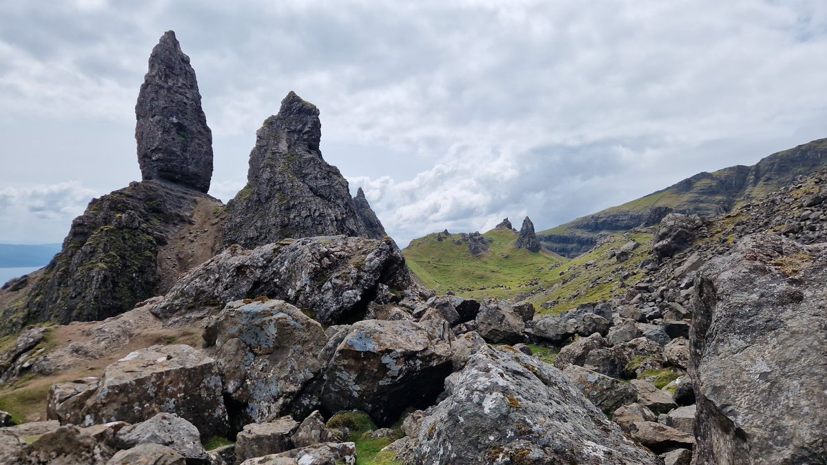 Proper dinosaur name tweet media