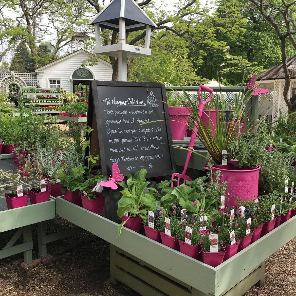 Stop in to our lovely plant nursery on your next visit!

Look out for anything in a pink pot ~ these plants have been propagated & grown on site, so in our opinion they are extra special!

#didyouknow all the plants in the plant nursery are UK grown and are 100% peat free?