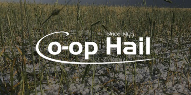 FNA Co Op Hail Insurance Program 2023 - mailchi.mp/fna.ca/hail-77…