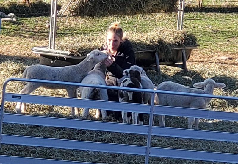 Meet this weeks #marketvendoroftheweek, Raspberry Ridge Creamery! 🧀 "I love the people, animals and nature that are part of my life as a sheep farmer and cheesemaker. We’ve been at the market for 5 years &amp; believe it's important to be part of the local community &amp; sell locally.