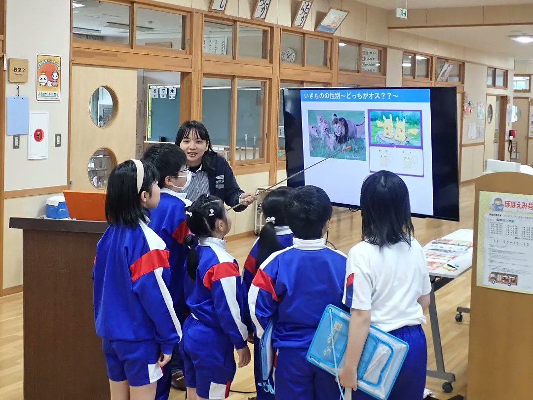 mutsubaydolphin's tweet photo. Yesterday we gave some 🐬 presentations. Leanne talked about her master's thesis in the UK on Risso's #dolphins. Natsuki Murayama on Pacific white-sided dolphin sex differences &amp; Sachiko Arizono on cetaceans in Japan (Mie University). Today the kids thanked us with a lovely card! https://t.co/T7LdoSWIjz