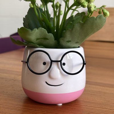 Liebes #twlz, mein Tutor-LK hat mir heute nach Unfall und OP als Wiederkommensgeschenk diese Blume überreicht, weil „die uns so sehr an Sie erinnert hat“ - noch nie wurde mein Inneres so gut abgebildet wie von diesem Blumentopf