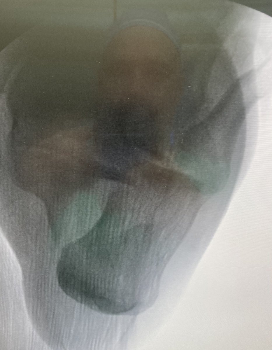 Eitan Ingall tweet media