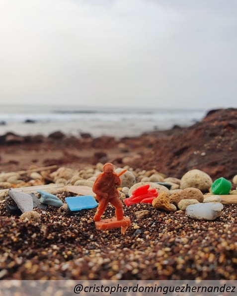 Feliz Día Mundial de Los Océanos 2023 🌊
. 
💪Por unos océanos limpios y sin plástico 💪
.
#díadelosocéanos🐟🐋🐳🐠🐡🐙🐬💙 #IMPLAMACproject #microplásticos #Macaronesia