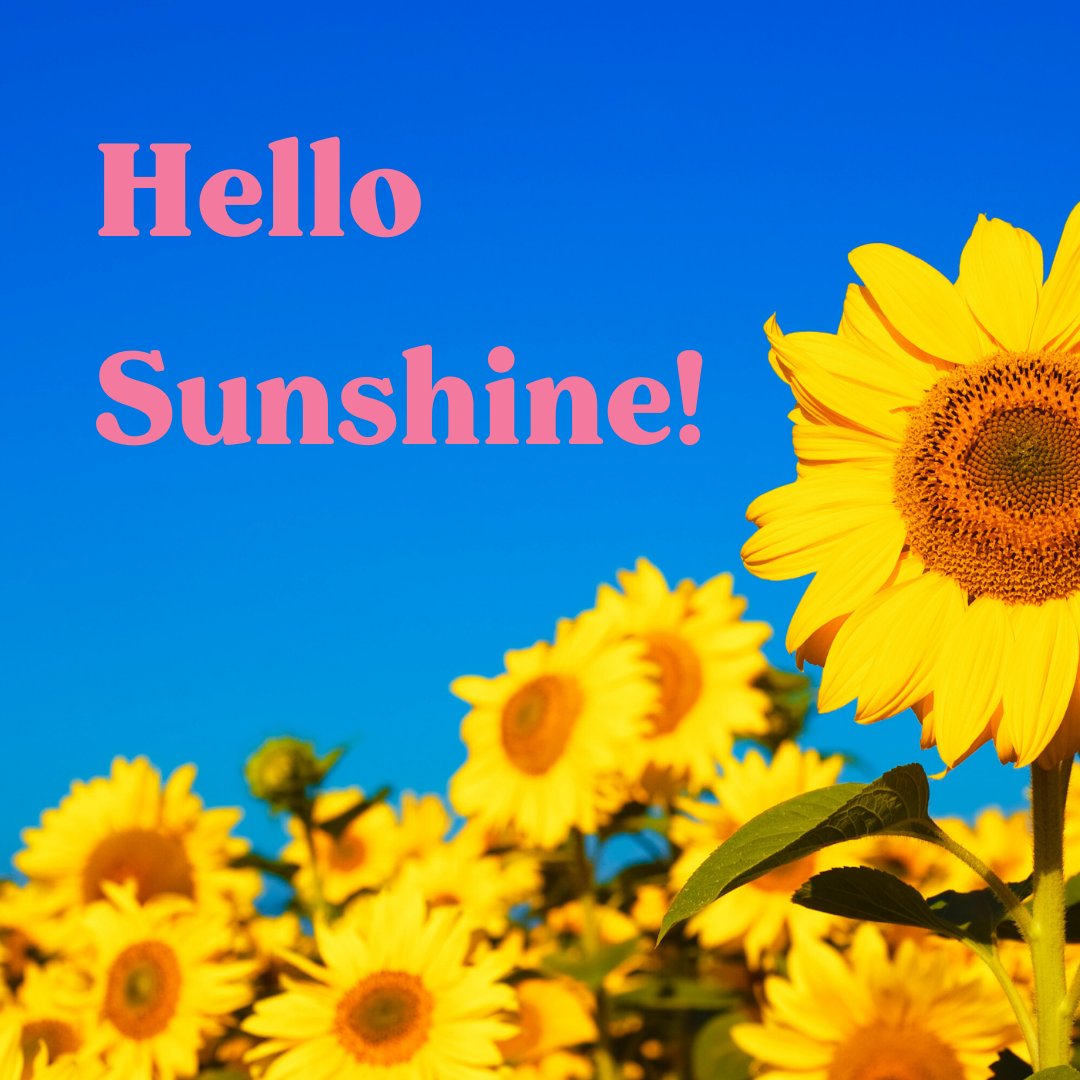 Are you getting enough sunshine? 

It's a bit windy - but the sun's OUT! And that natural light - helps the brain release serotonin, giving you calm feelings and better-focusing abilities. 

What's not to love about that? 
#sunshine #thursdaythoughts #hellosummer #mentalwellness
