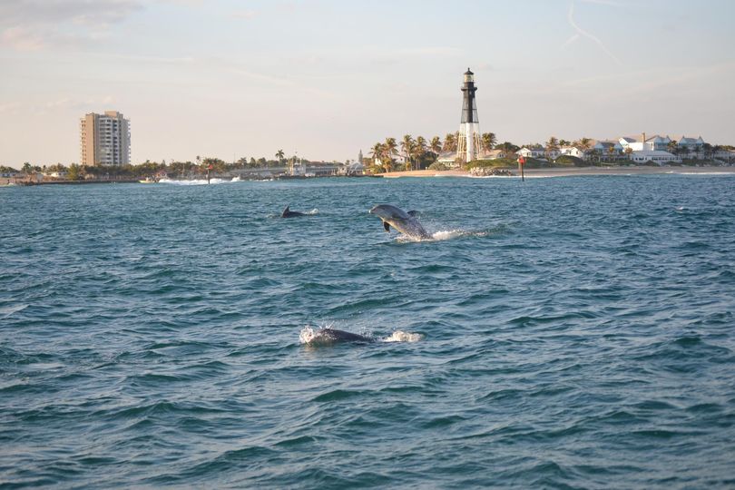 City of Pompano Beach tweet media