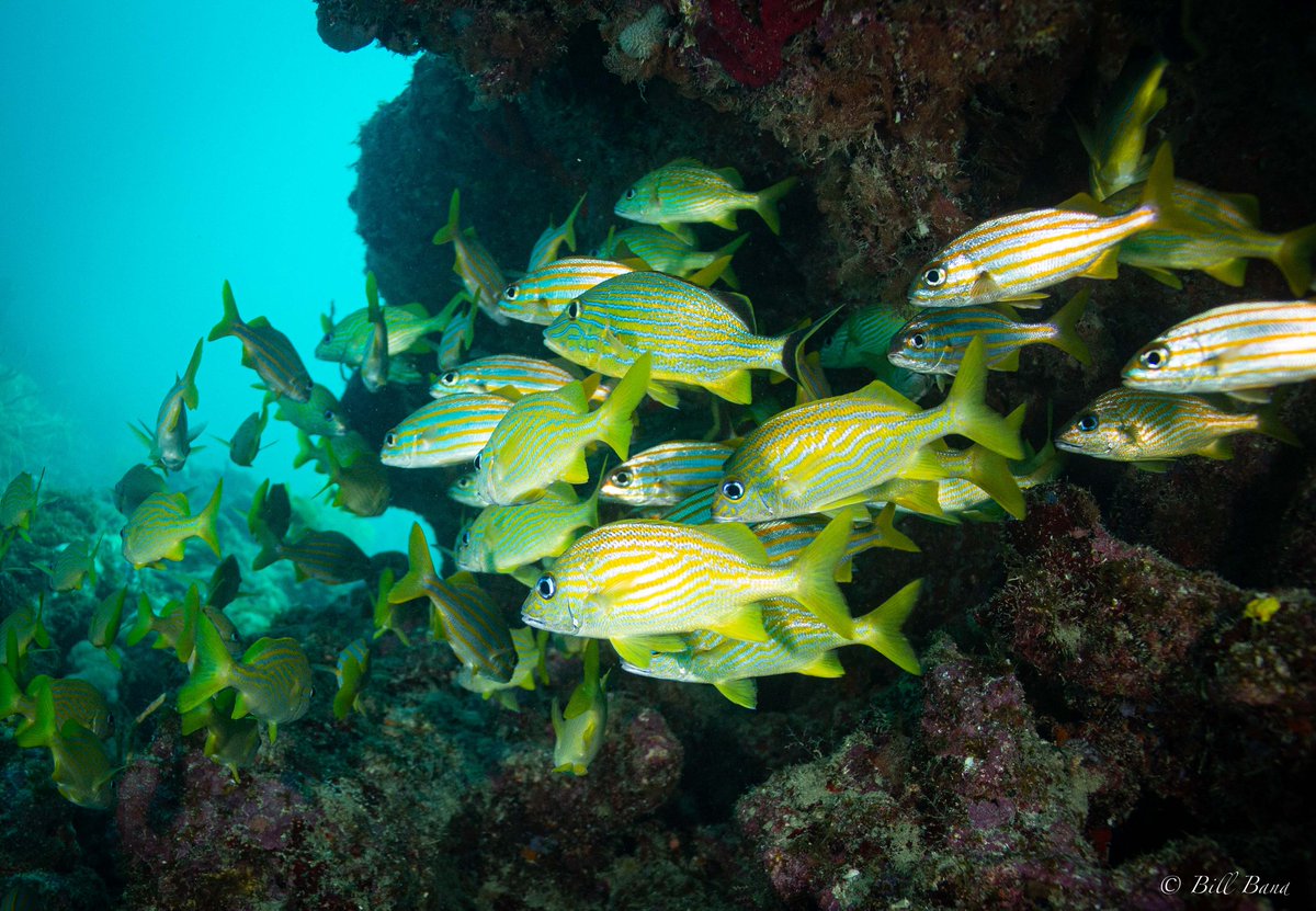 City of Pompano Beach tweet media