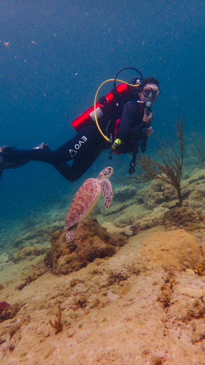 City of Pompano Beach tweet media