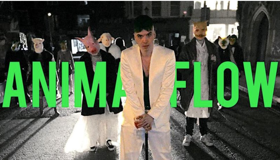 rivevideo's tweet image. One of the BEST music videos of the year! 
See this yet?
&quot;Animal Flow&quot;: youtu.be/F4mUnmFbVNg
sickboi.co.uk
instagram.com/renmakesmusic/

tiktok.com/@renmakesmusic

renmakesmusic.co.uk
#REN #RenMakesMusic #AnimalFlow