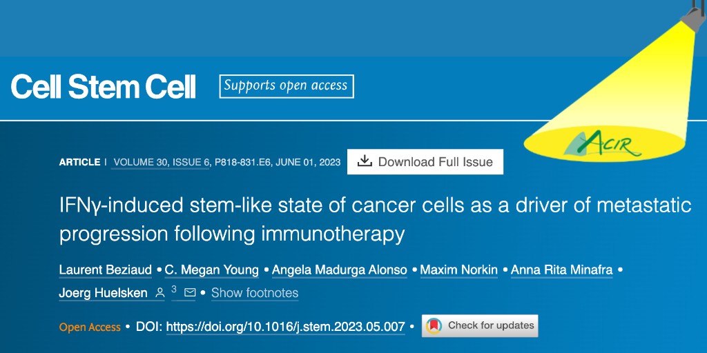 Researcher <a href="/LaurentBeziaud/">Laurent Beziaud</a> at <a href="/epflSV/">EPFL Life Sciences</a> focused on the role of cancer stem cell (CSC) plasticity in immune evasion following ICB. In mouse breast tumor models, T cell-produced IFNγ increased conversion of non-CSCs to CSCs, which increased chemo- and [...] bit.ly/3J2U5GN
