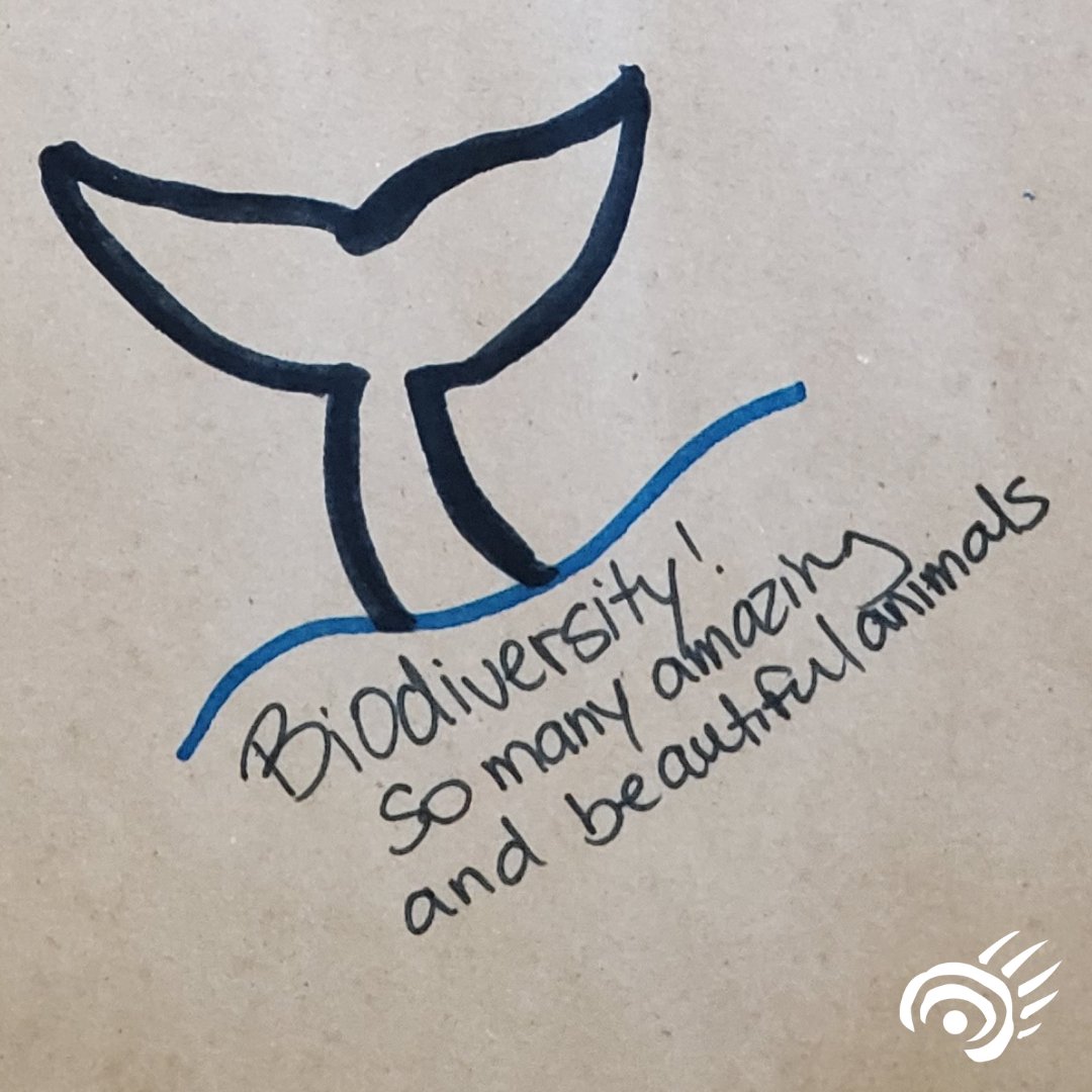 CPAWSNB's tweet photo. Happy #WorldOceanDay! Over the last year we’ve been privileged to learn about why the #Ocean is important to New Brunswickers and wanted to share some responses with you. Swipe to see what some folks had to say.  
@oceanweekcan @worldoceansday #BayOfFundy #GulfOfStLawrence https://t.co/j9zAQjDOPY