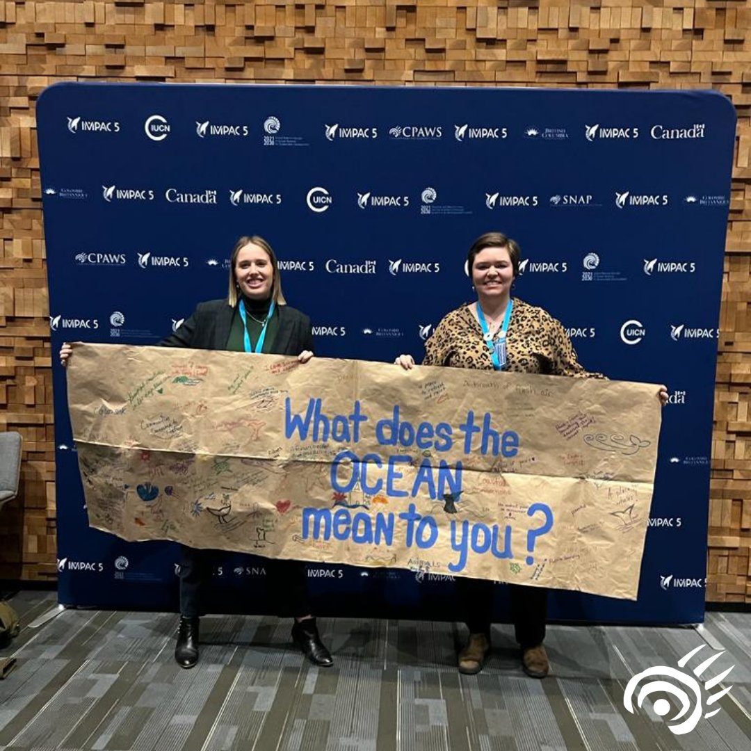 CPAWSNB's tweet photo. Happy #WorldOceanDay! Over the last year we’ve been privileged to learn about why the #Ocean is important to New Brunswickers and wanted to share some responses with you. Swipe to see what some folks had to say.  
@oceanweekcan @worldoceansday #BayOfFundy #GulfOfStLawrence https://t.co/j9zAQjDOPY