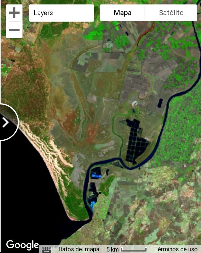 CargoBikeMLG's tweet photo. "la construcción de una urbanización turística costera que ocupa más de 360 ha y se abastece de aguas subterráneas mediante estaciones de bombeo situadas a menos de 1 km de las principales lagunas del parque. Además, en el año 2000 se puso en esta urbanización un campo de golf" https://t.co/QYfOXhPMyc