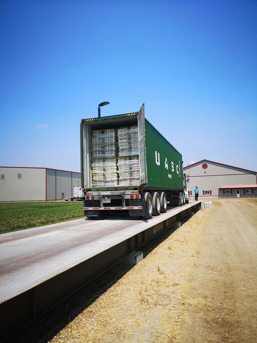 Hay Growers! 
We are looking for hay and have overseas buyers paying top dollar for quality hay. Call us at 9057198238