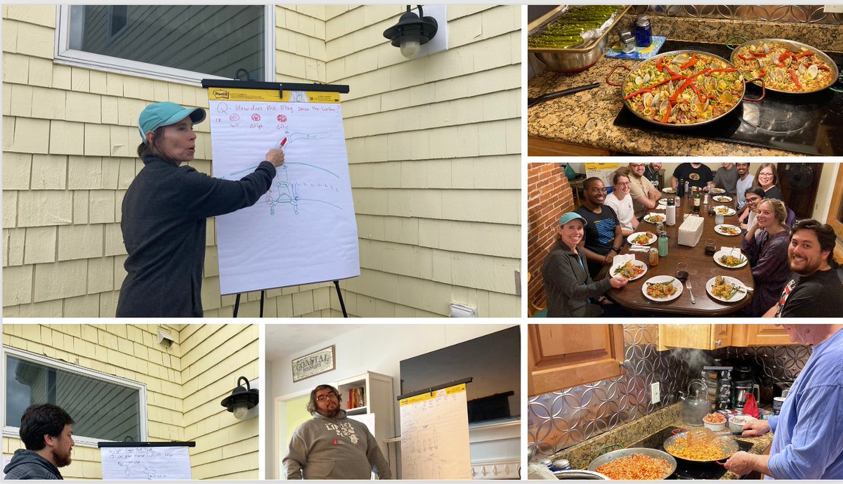 George O'Toole (he/him/his) tweet media