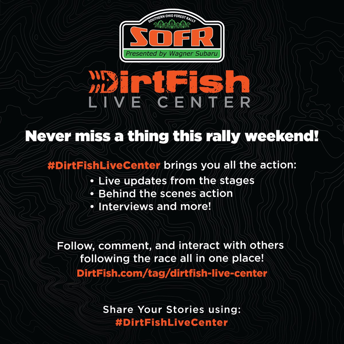 DirtFish tweet media
