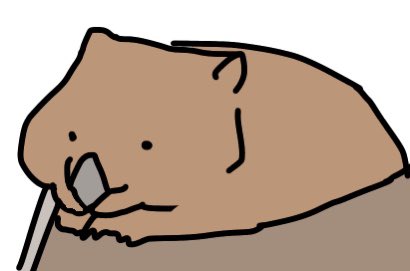 ぷよぷよウォンバット
#ウォンバット #wombat