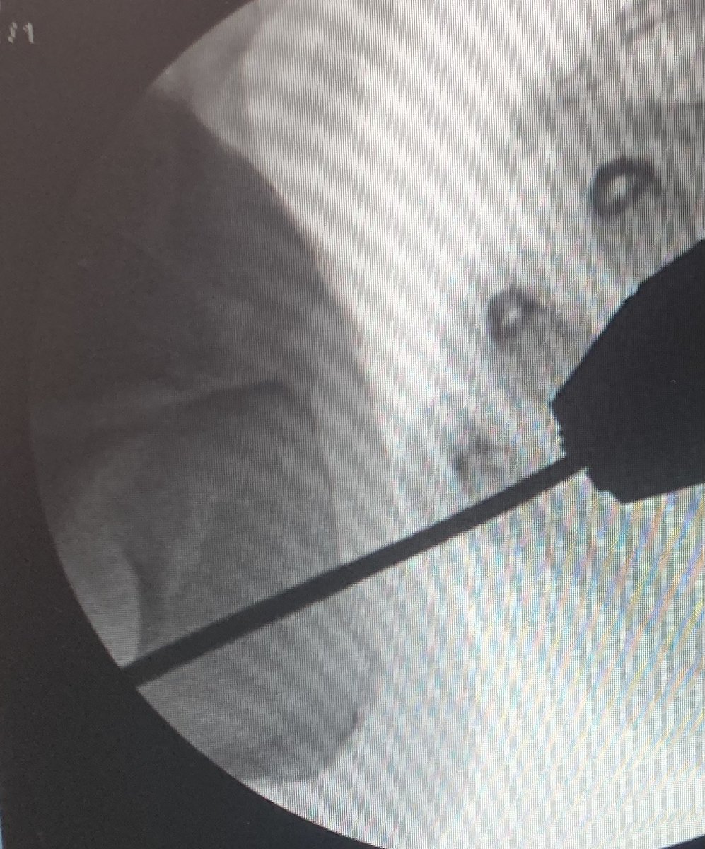 Eitan Ingall tweet media