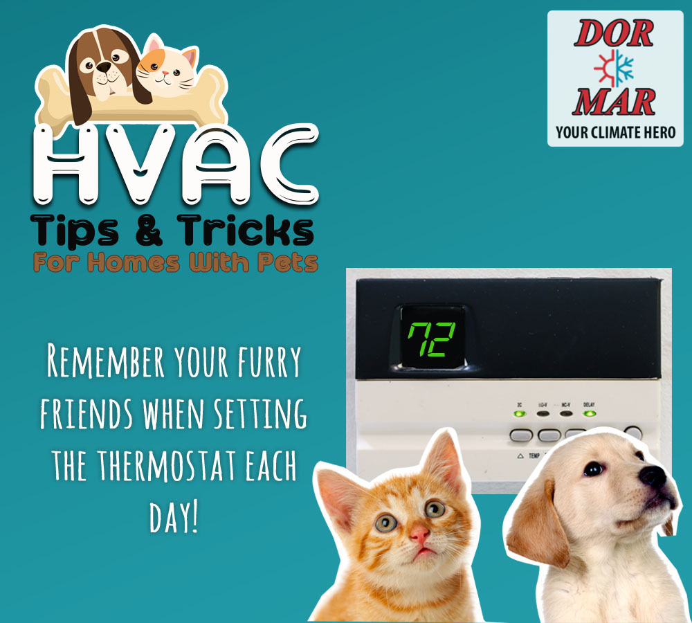 Your pets deserve to be comfortable indoors too!